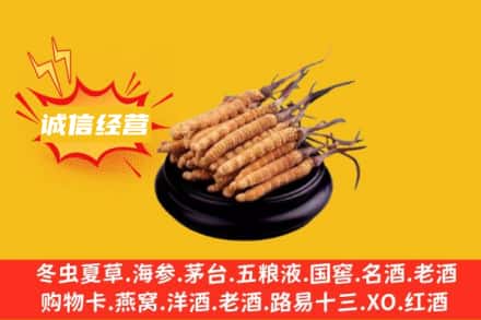 林周县回收冬虫夏草
